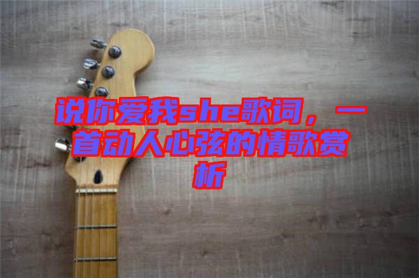 說你愛我she歌詞，一首動人心弦的情歌賞析