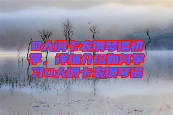 D大調(diào)卡農(nóng)鋼琴譜初學(xué)，詳細(xì)介紹如何學(xué)習(xí)D大調(diào)卡農(nóng)鋼琴譜