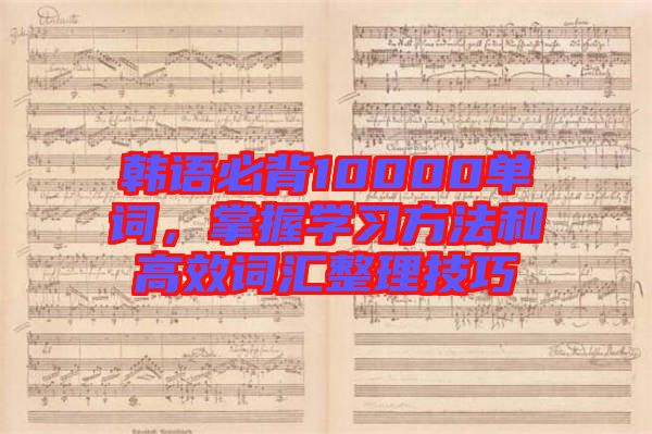 韓語必背10000單詞，掌握學(xué)習(xí)方法和高效詞匯整理技巧