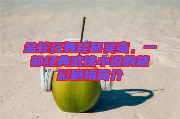 金蛇狂舞琵琶吳蠻，一部經(jīng)典武俠小說的精彩劇情簡介