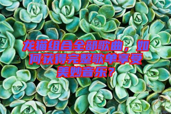 龍貓組合全部歌曲，如何獲得完整歌單享受美妙音樂？