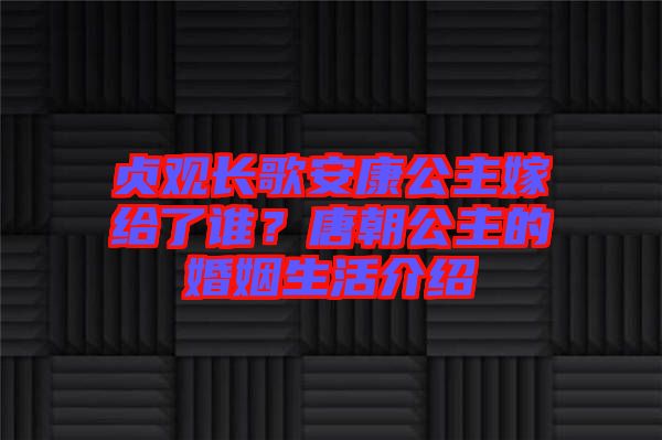 貞觀長(zhǎng)歌安康公主嫁給了誰(shuí)？唐朝公主的婚姻生活介紹