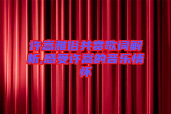 許嵩雅俗共賞歌詞解析,感受許嵩的音樂情懷