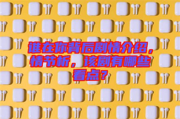 誰在你背后劇情介紹，情節(jié)析，該劇有哪些看點(diǎn)？