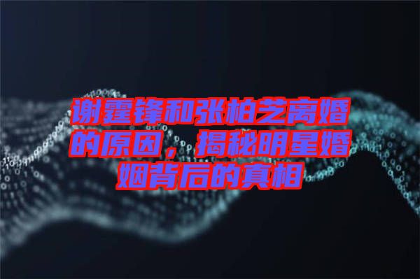 謝霆鋒和張柏芝離婚的原因，揭秘明星婚姻背后的真相