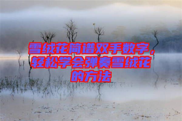 雪絨花簡(jiǎn)譜雙手?jǐn)?shù)字，輕松學(xué)會(huì)彈奏雪絨花的方法