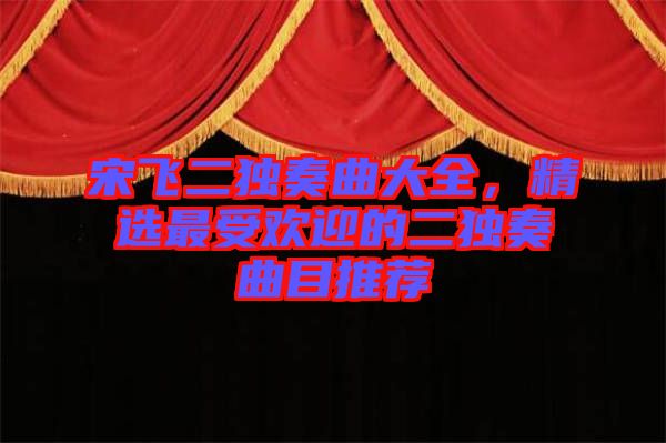 宋飛二獨(dú)奏曲大全，精選最受歡迎的二獨(dú)奏曲目推薦