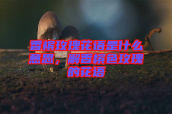 香檳玫瑰花語(yǔ)是什么意思，解香檳色玫瑰的花語(yǔ)