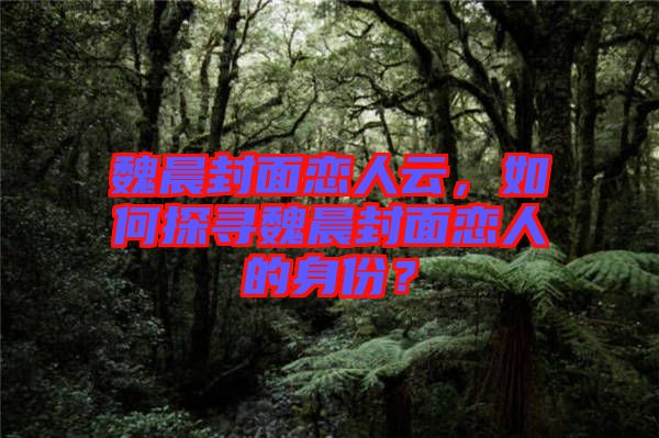 魏晨封面戀人云，如何探尋魏晨封面戀人的身份？