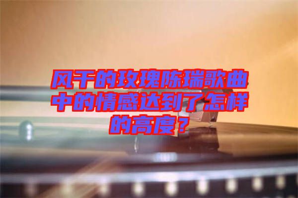 風(fēng)干的玫瑰陳瑞歌曲中的情感達(dá)到了怎樣的高度？