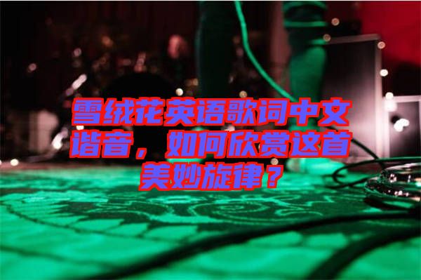 雪絨花英語歌詞中文諧音，如何欣賞這首美妙旋律？