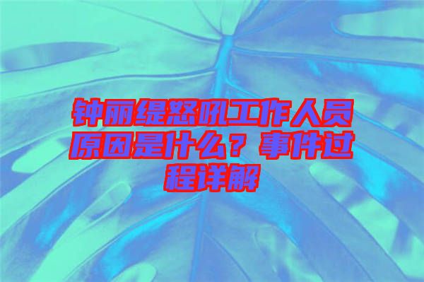 鐘麗緹怒吼工作人員原因是什么？事件過程詳解