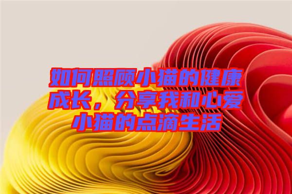 如何照顧小貓的健康成長(zhǎng)，分享我和心愛小貓的點(diǎn)滴生活