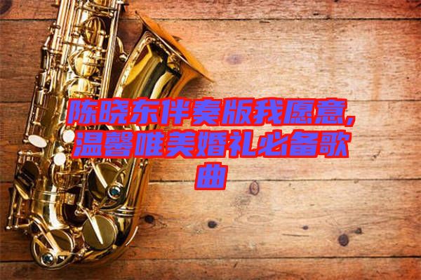 陳曉東伴奏版我愿意,溫馨唯美婚禮必備歌曲