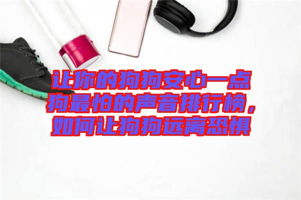 讓你的狗狗安心一點狗最怕的聲音排行榜，如何讓狗狗遠離恐懼