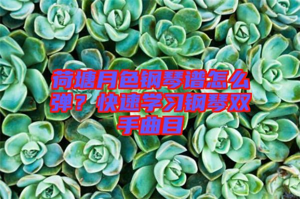 荷塘月色鋼琴譜怎么彈？快速學(xué)習(xí)鋼琴雙手曲目