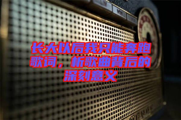 長大以后我只能奔跑歌詞，析歌曲背后的深刻意義