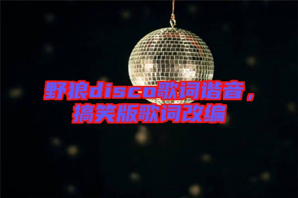 野狼disco歌詞諧音，搞笑版歌詞改編