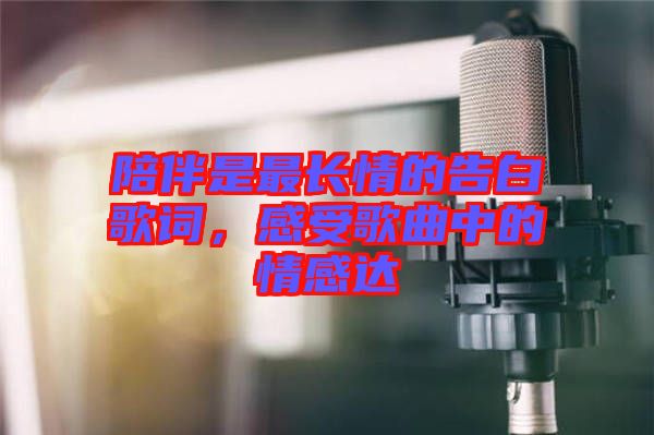 陪伴是最長情的告白歌詞，感受歌曲中的情感達