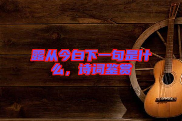 露從今白下一句是什么，詩(shī)詞鑒賞